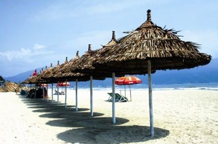 Des parasols en cocotier aquatique